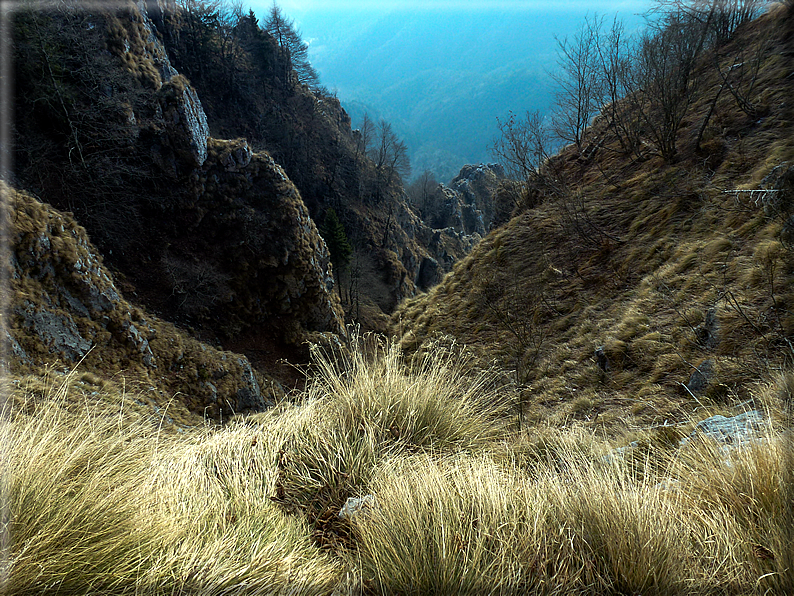 foto Salita dal Monte Tomba a Cima Grappa